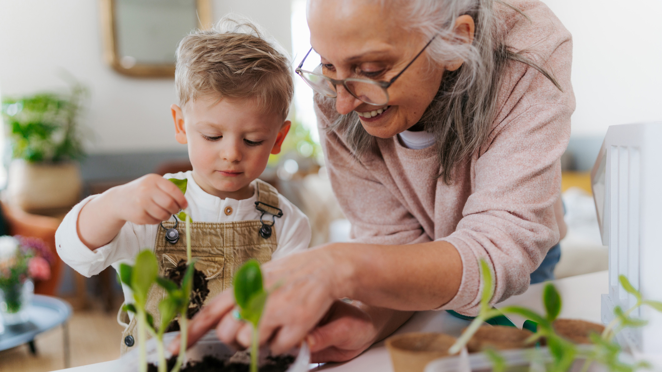 Grandma and grandson planting.